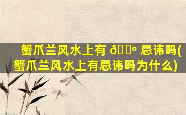 蟹爪兰风水上有 🌺 忌讳吗(蟹爪兰风水上有忌讳吗为什么)